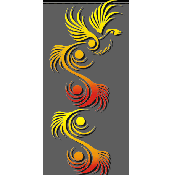 Phoenix Graphic