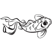 Fish Graphic